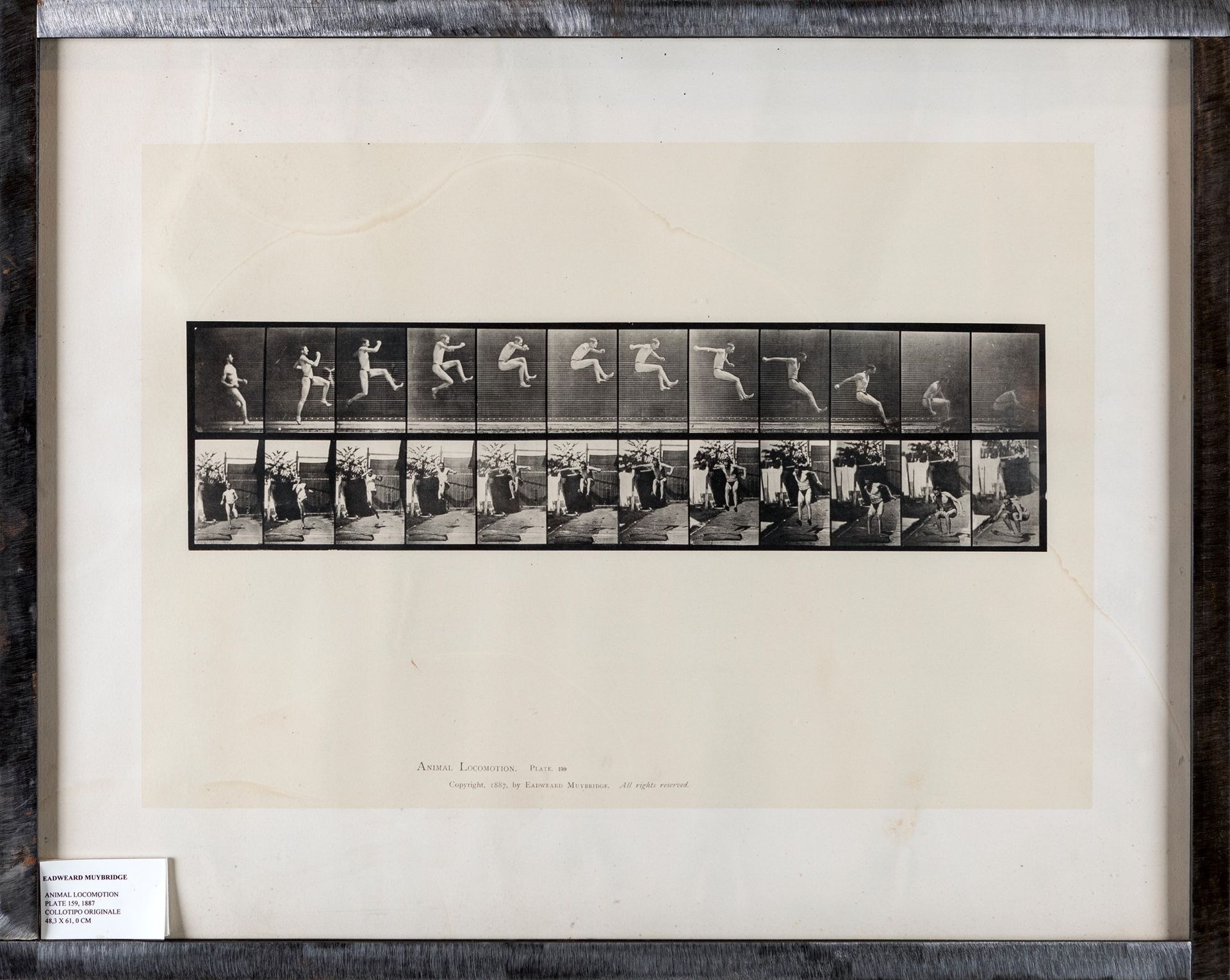 Eadweard Muybridge Animal Locomotion (10 Sport Studies) plate 159 原始拼版画48.3x61厘米&hellip;