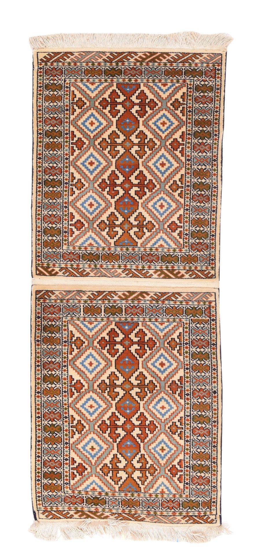 Null Pak Shirvan设计地毯，2'3" x 5'8" ( 0.69 x 1.73 M )