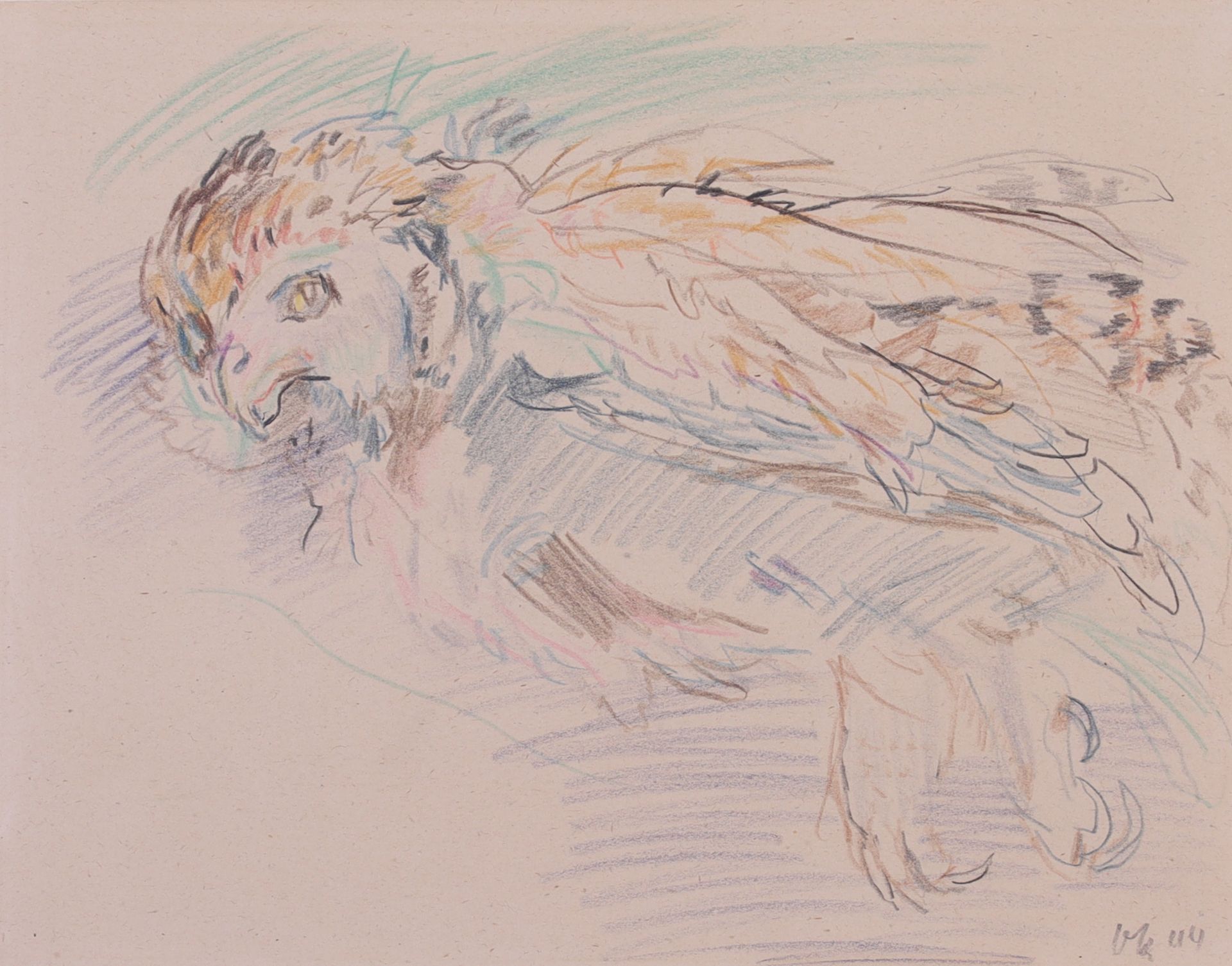 Kokoschka, Oskar 猫头鹰，1944年
纸上彩色铅笔，裱在日本纸上。
右下方有签名和日期
未开封的纸张尺寸：22.7 x 29.2

尽管科科什卡&hellip;