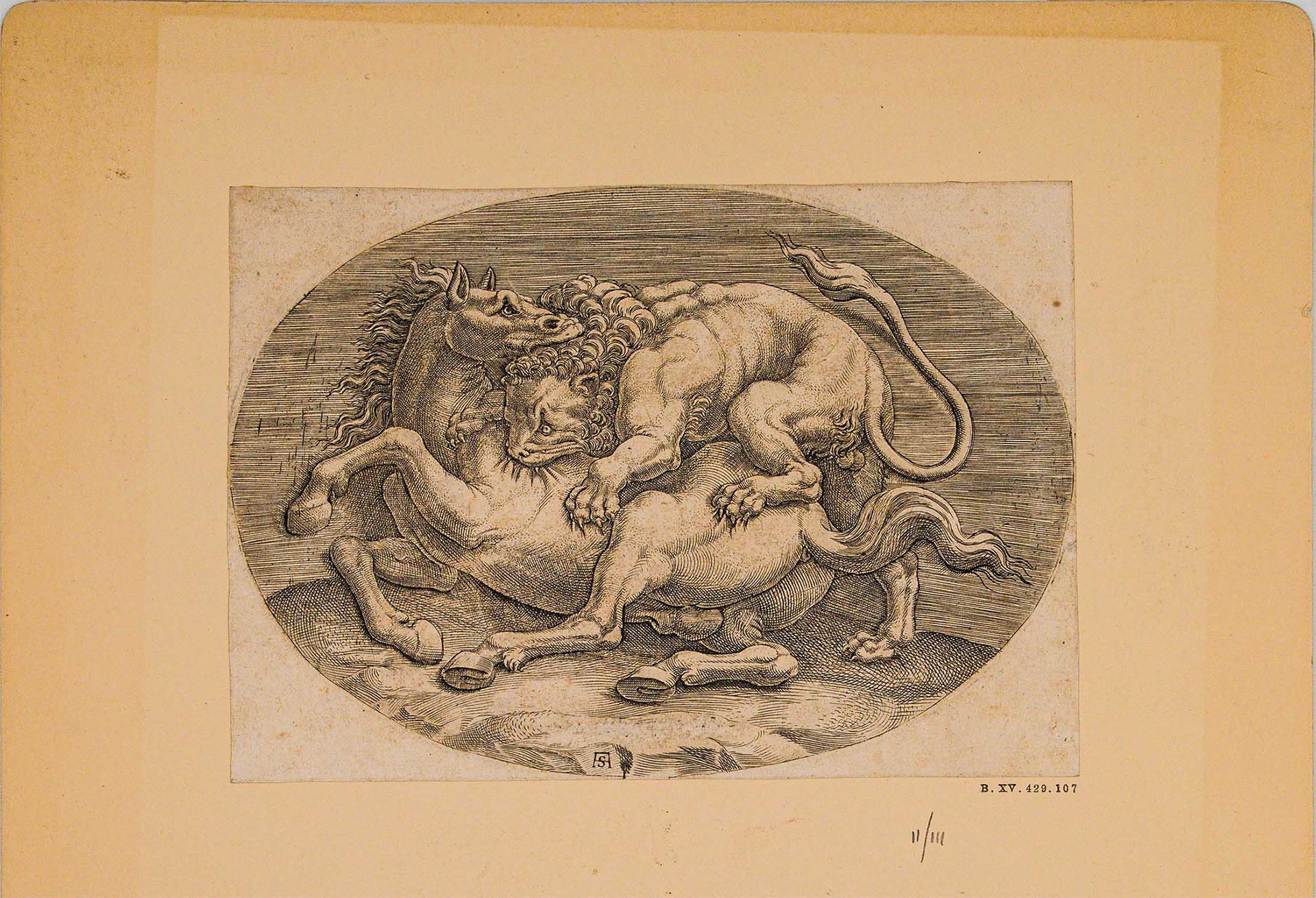 Null Adamo Scultori (Mantua 1530 - Mantua 1585), Lucha entre el león y el caball&hellip;