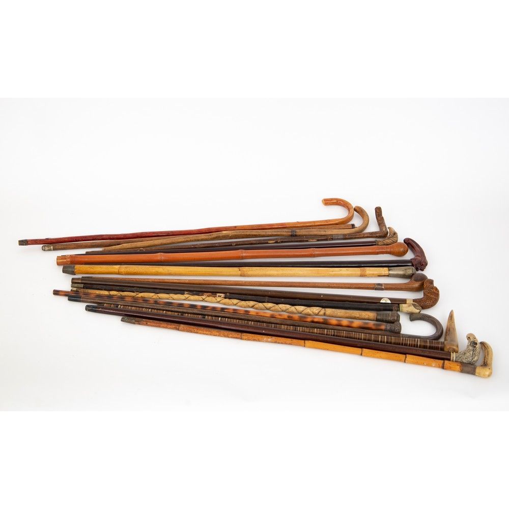 SEDICI BASTONI da collezione di varia tipologia 十六个不同类型的收集棒。20世纪。



最大高度91厘米。