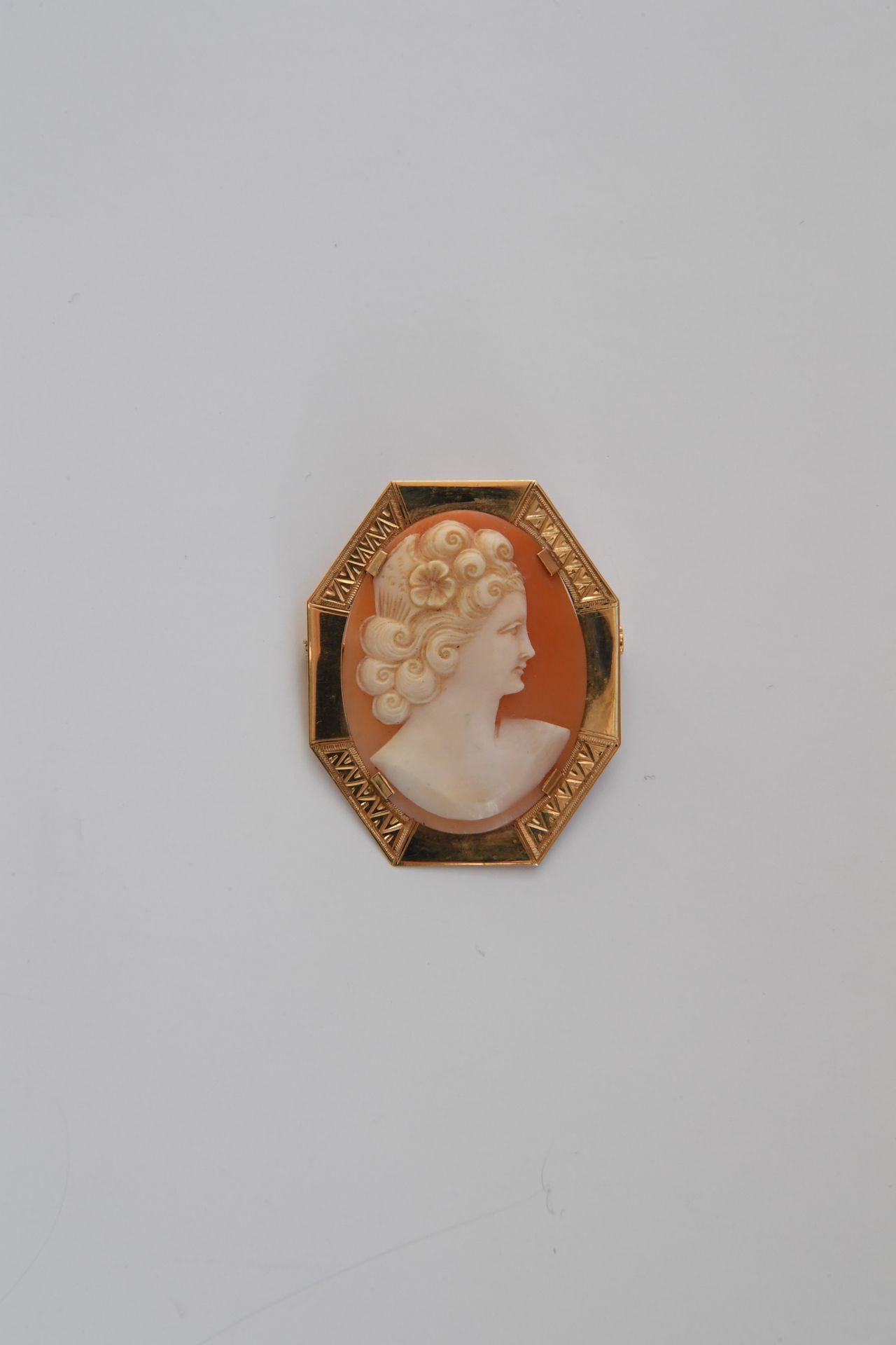 Null Brooch, pendant in gold 750°°°° decorated with a cameo shell. Gross weight:&hellip;