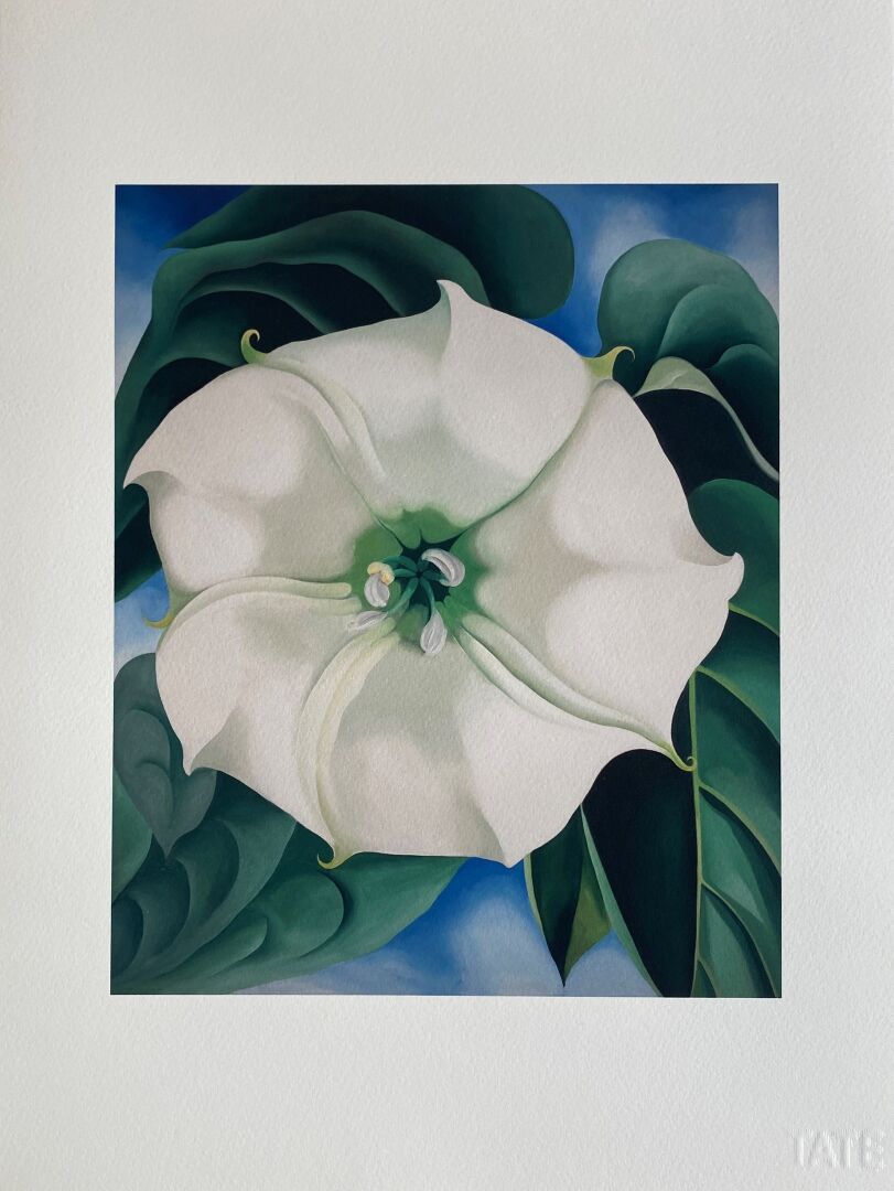 Georgia O'KEEFFE (1887-1986) (d'après) 
Jimson Weed Flower, 1932




Giclée édit&hellip;