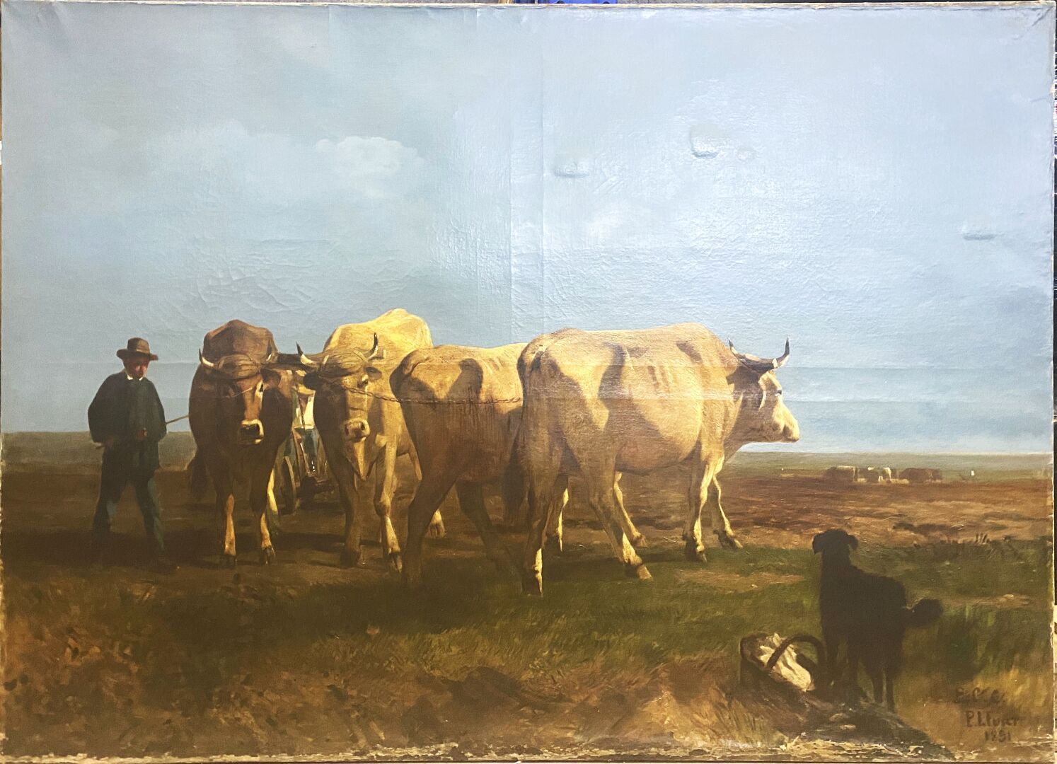 Null 皮埃尔-莱昂斯-弗特（1870-XX年），在特鲁昂之后的作品
耕地上的牛
布面油画
104 x 146厘米
事故和修复，边角料略有欠缺

波尔多艺术博&hellip;