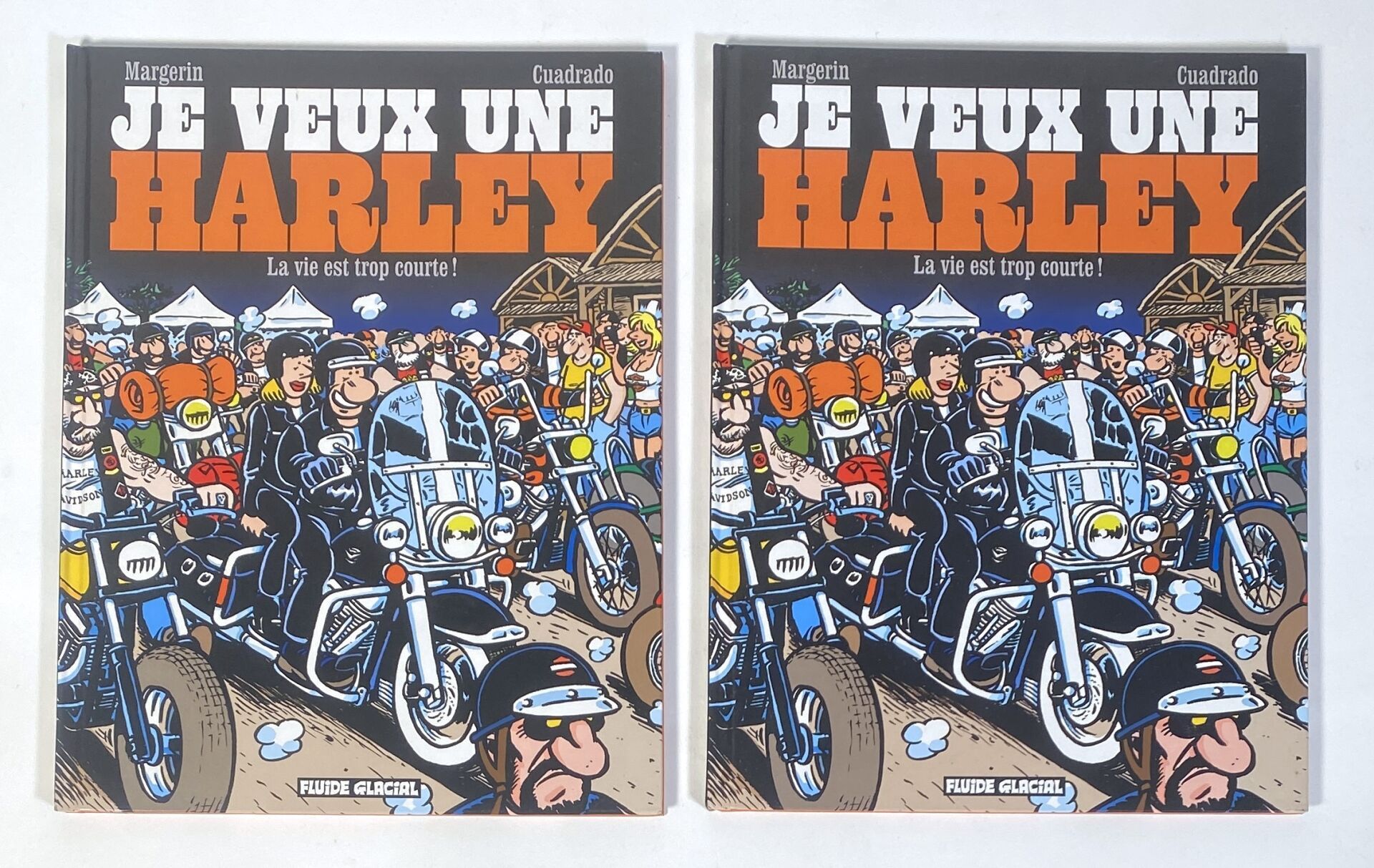 Null MARGERIN & CUADRADO - JE VEUX UNE HARLEY
2 albums Je Veux Une Harley - La V&hellip;