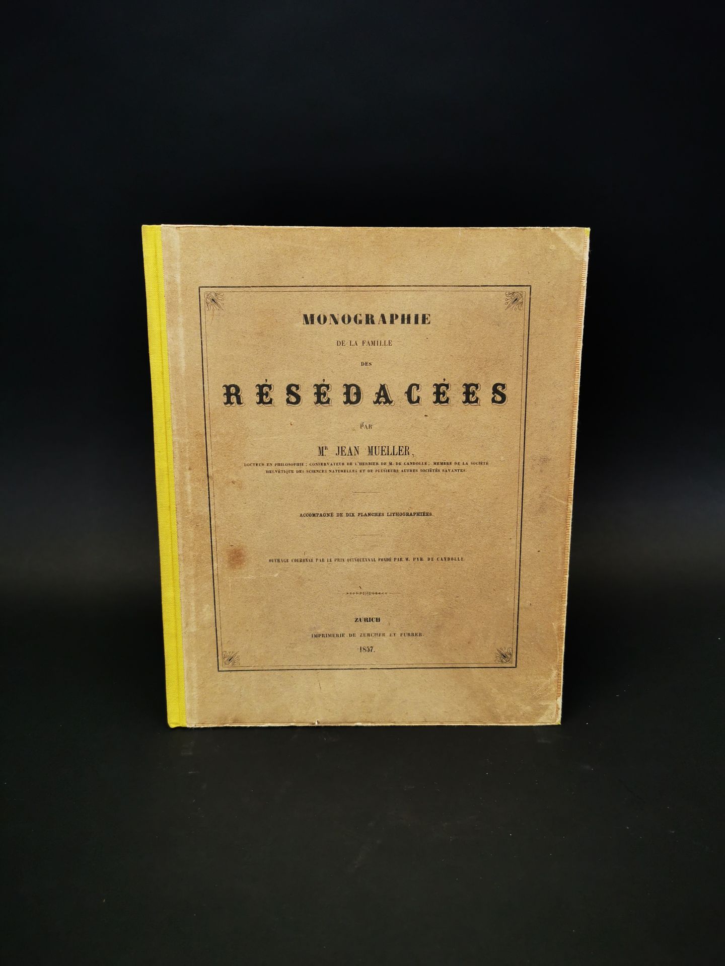 Null MUELLER, Jean. - Monographie de la famille des Résédacées. Accompagné de di&hellip;