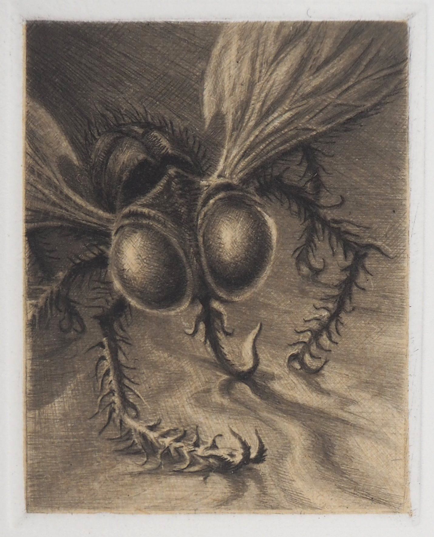 Jean-Michel MATHIEUX-MARIE Jean-Michel MATHIEUX-MARIE Surreal insect Original dr&hellip;