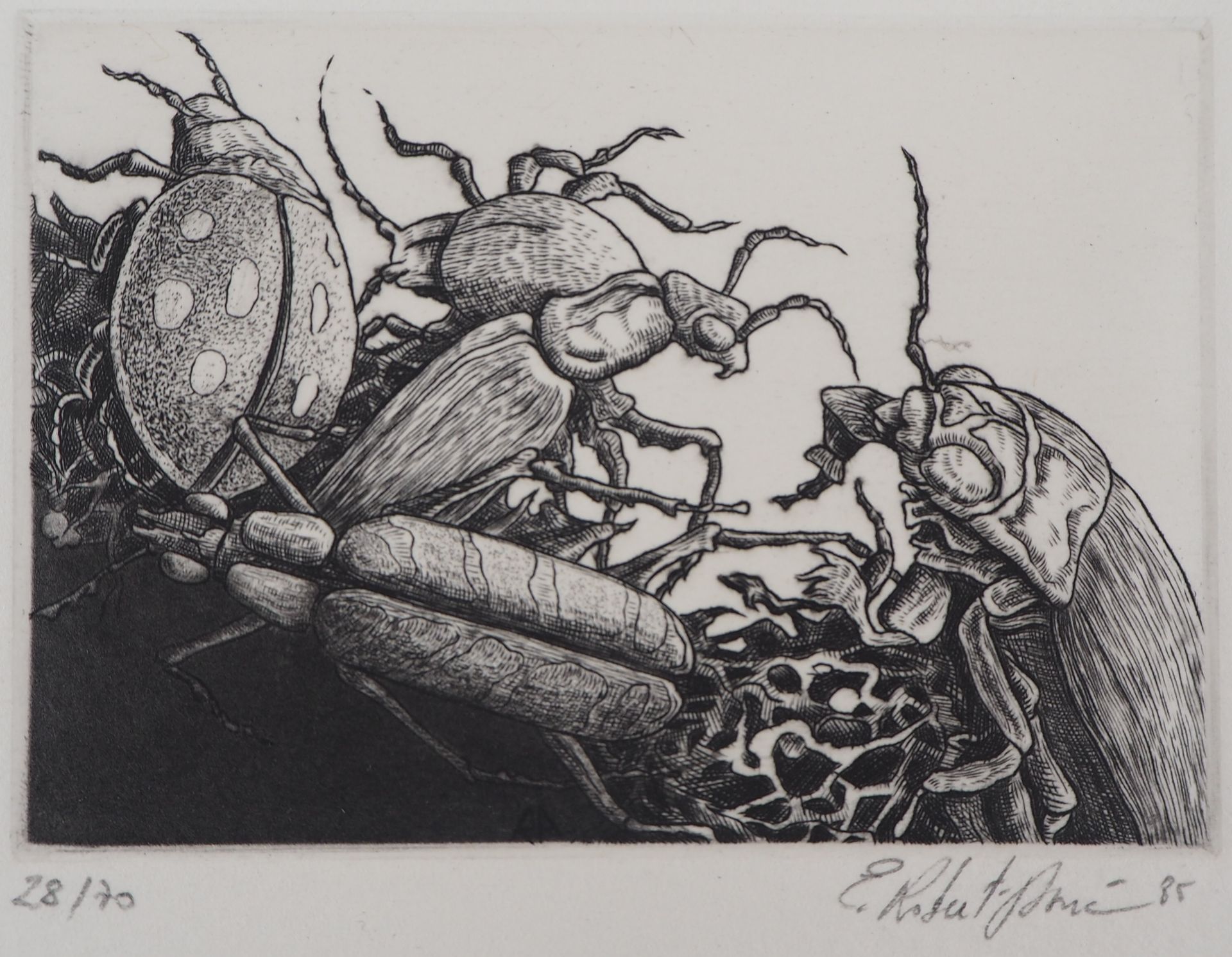 Eric Robert-Aymé Eric ROBERT-AYME

Life Under Earth, 1985

Original etching on v&hellip;