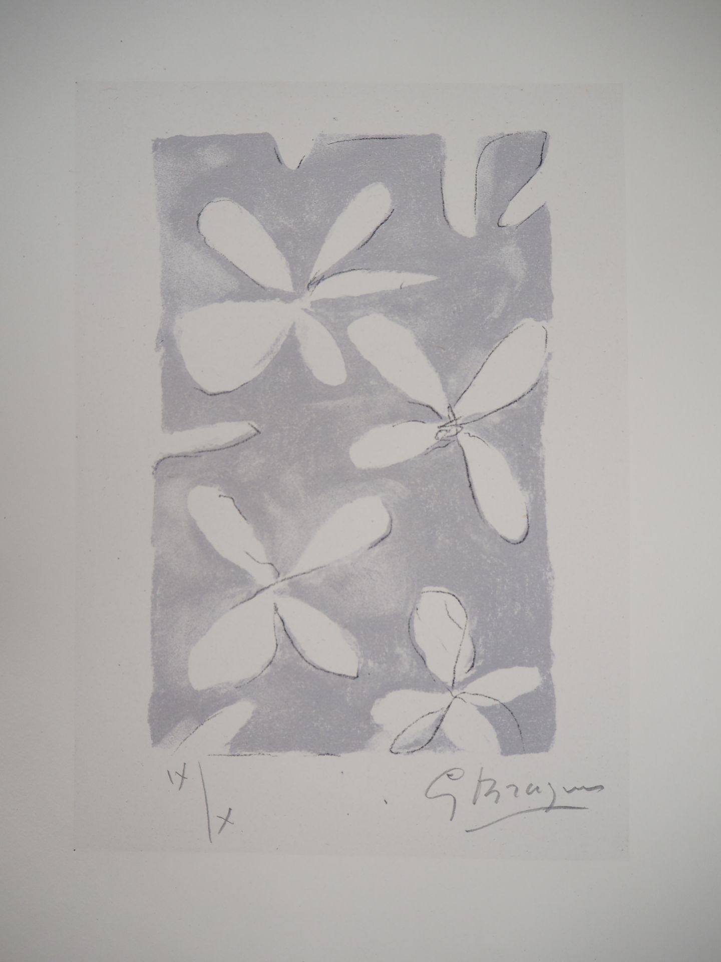 Georges Braque 乔治-布拉克 (1882-1963)

花床，1960年

原始石版画

用铅笔签名

编号/10份罗马数字

在Desjober&hellip;