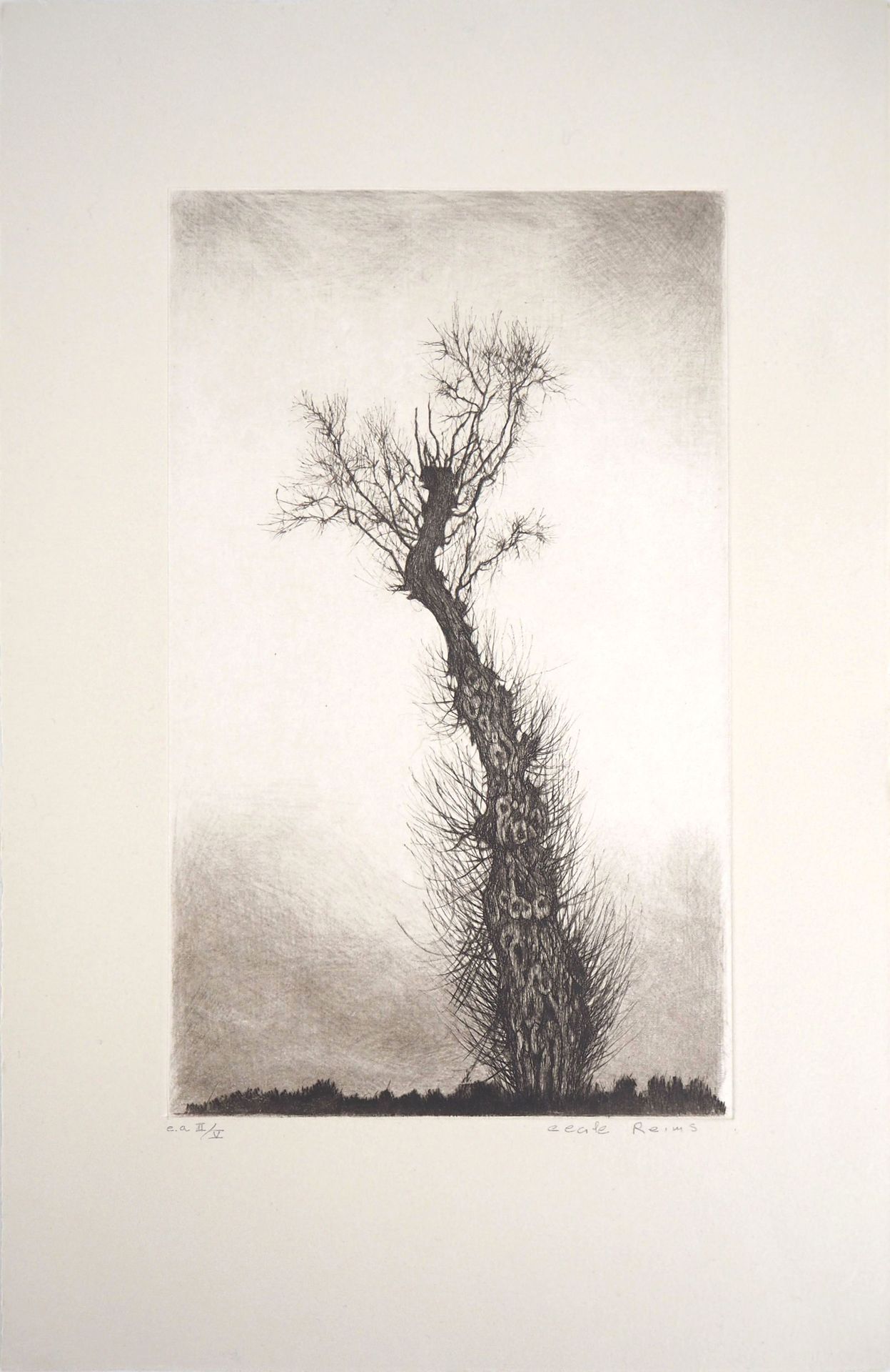 Cécile REIMS Cecile REIMS Abandoned tree Original drypoint etching Signed in pen&hellip;