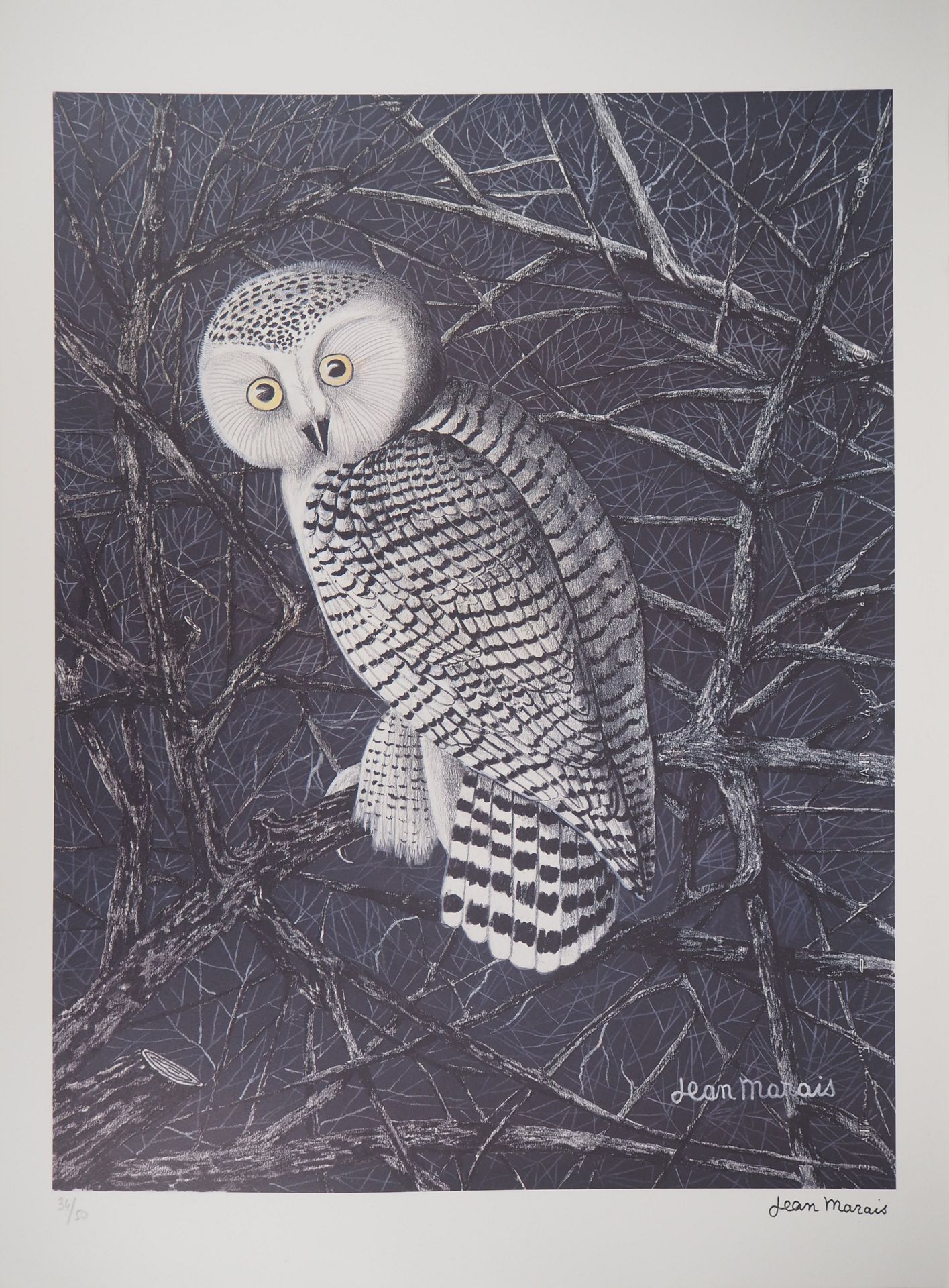 Jean MARAIS Jean Marais (1913 - 1998)

The Owl

Original lithograph

Signed with&hellip;