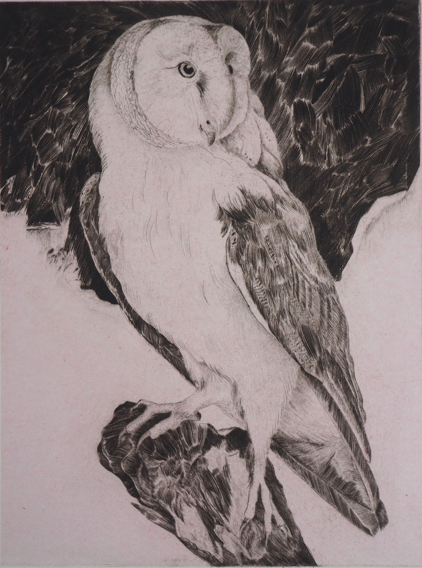 VERDIER VERDIER Owl, 1982 Original etching Signed in pencil Justified EA (artist&hellip;