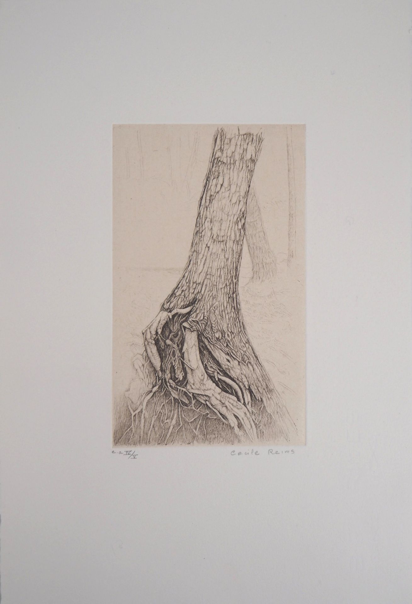 Cécile REIMS Cecile REIMS Force of nature Original drypoint etching Signed in pe&hellip;