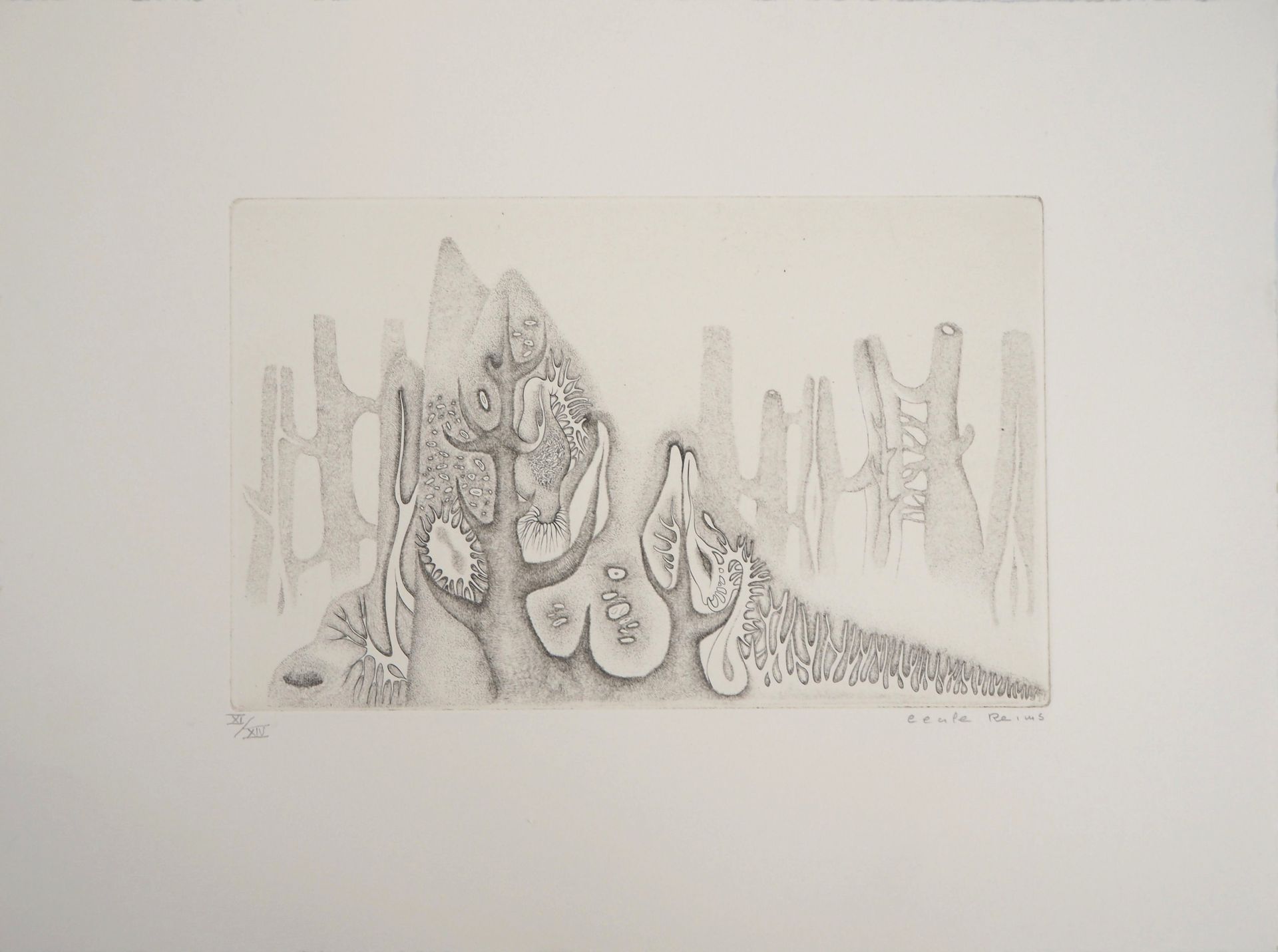 Cécile REIMS Cecile REIMS Cosmic nature Original drypoint etching Signed in penc&hellip;