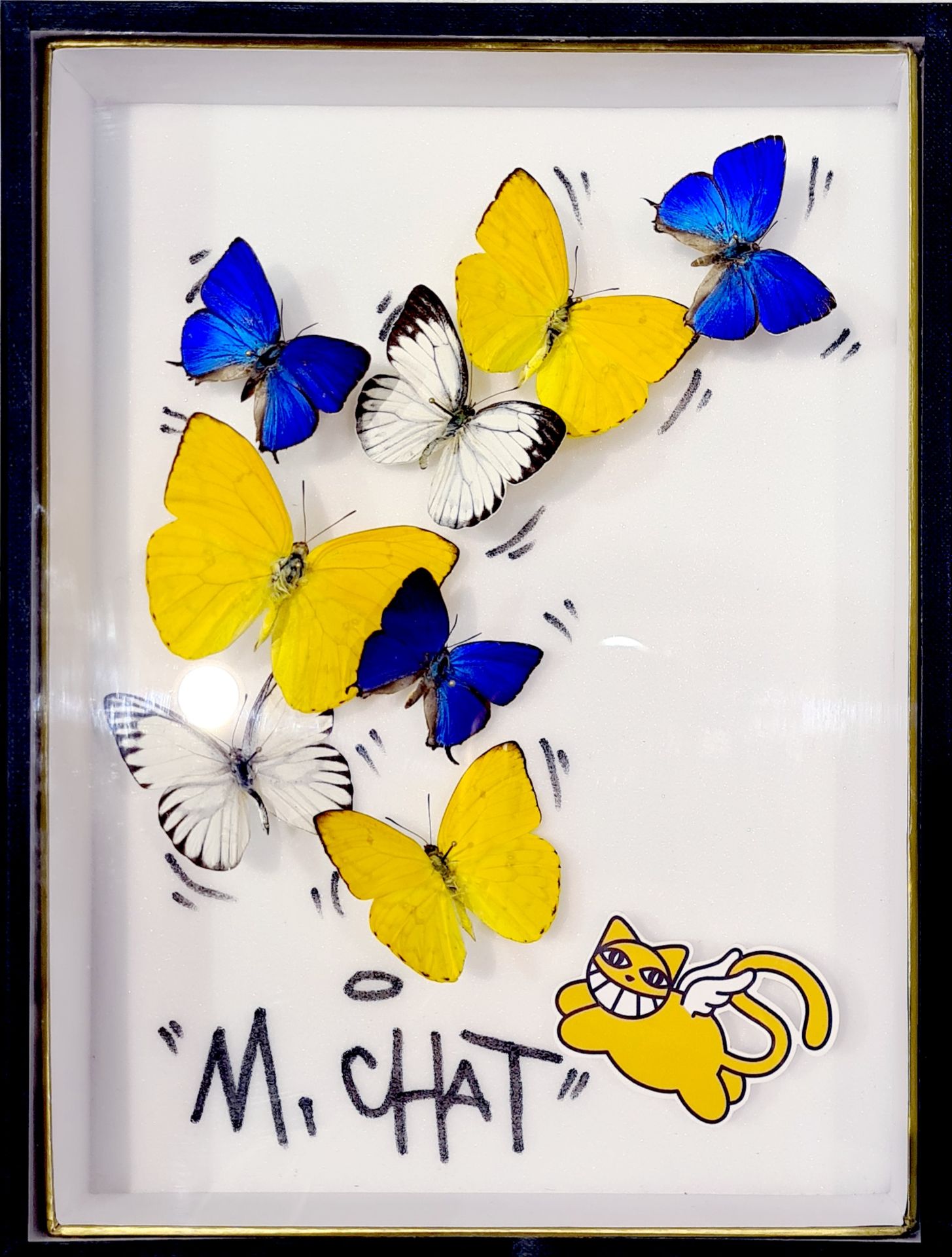 B. Pietri B.Pietri - M. Chat

M.Chat的真实蝴蝶和猫被钉在昆虫学家的窗户上

独特的作品，手工签名。状况非常好，26 x 19&hellip;