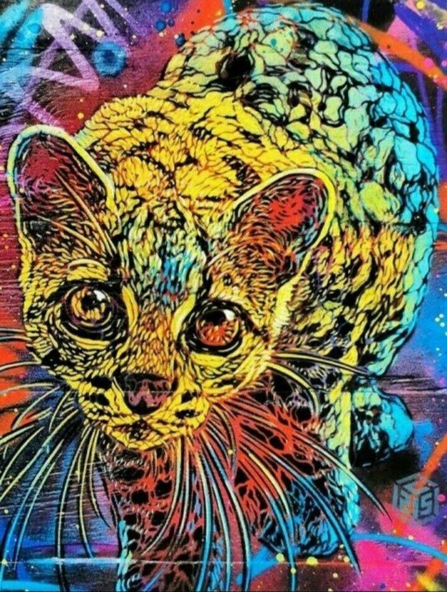 C215 C215 Margay, 2021 Digital printing on paper. Signed and numbered out of 100&hellip;