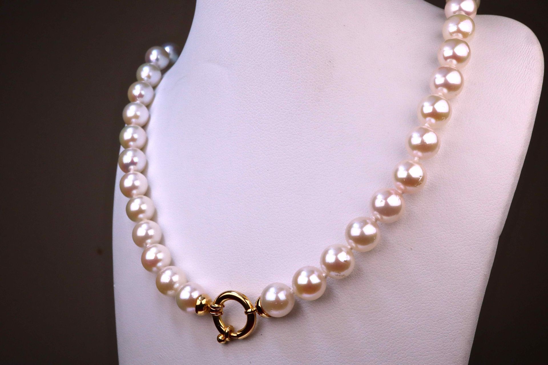 Collier Chocker de perles de culture Aboya du Japon 来自日本的8毫米阿波亚养殖珍珠的项链 "chocker"&hellip;