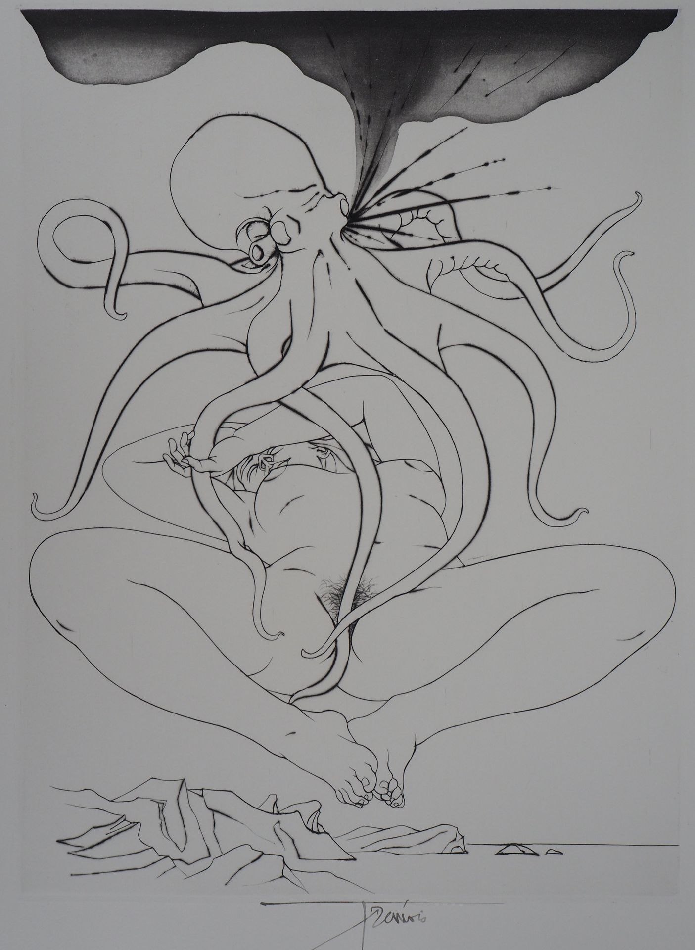 Pierre-Yves TRÉMOIS Pierre-Yves TRÉMOIS

章鱼的爱



原始蚀刻画

以墨水签署的

在BFK Rives牛皮纸上 5&hellip;