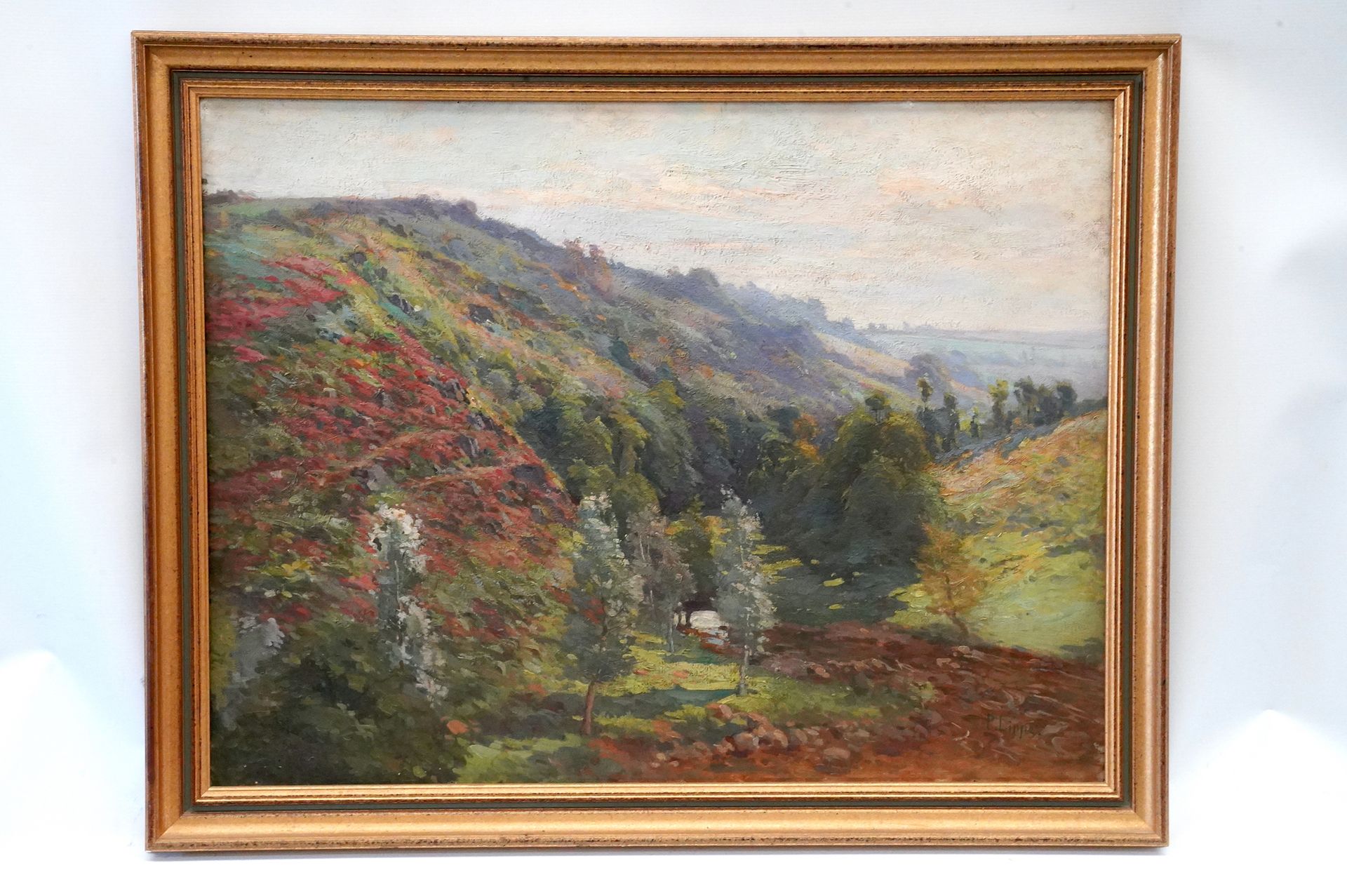 Null 保罗-利皮（1866-1926）。一个小山丘的景观。右下角签名的布面油画，62 x 81厘米。有框。