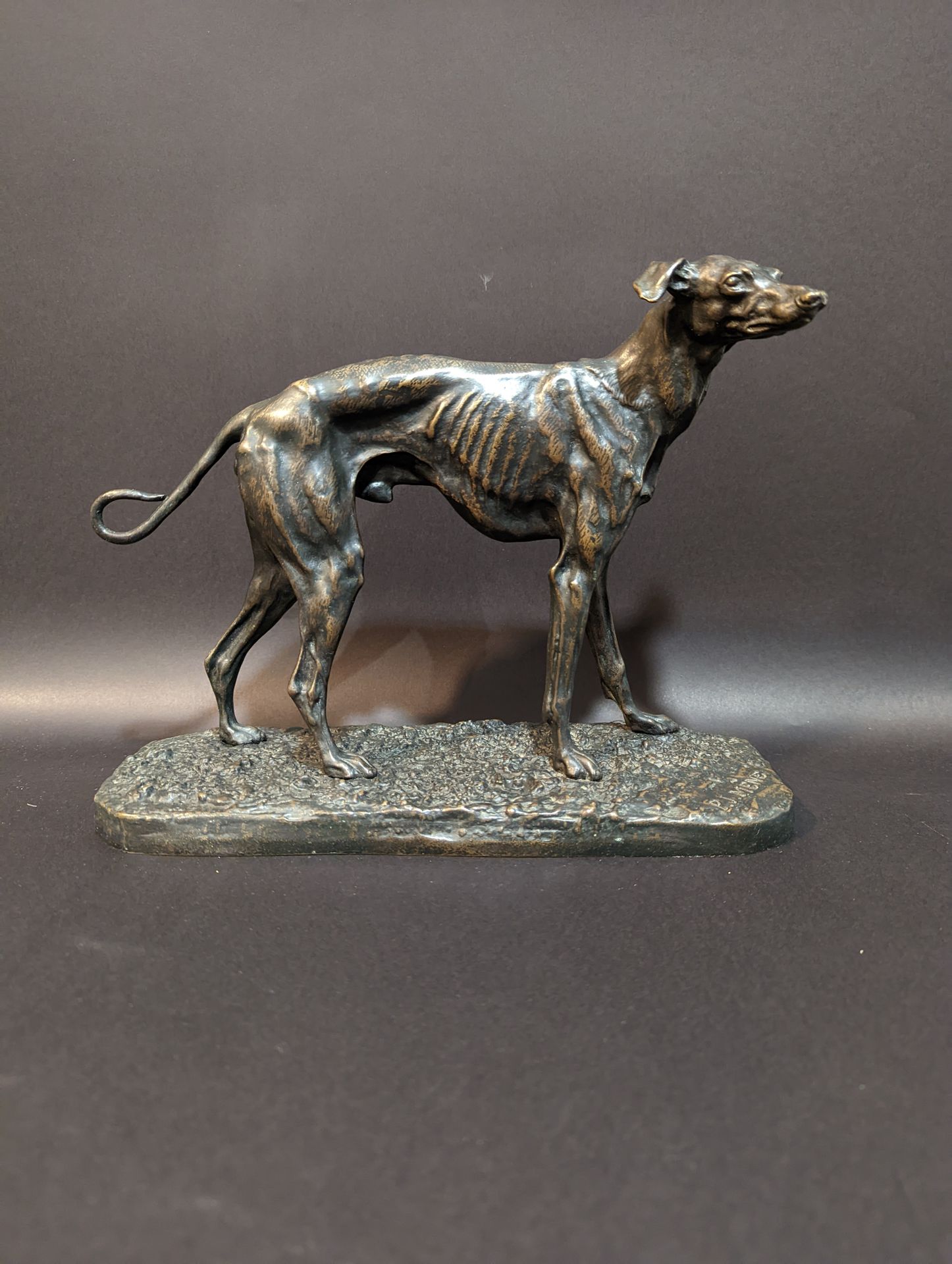 Null Pierre Jules MENE (1810-1879), atribuido a. Galgo. Bronce con pátina marrón&hellip;