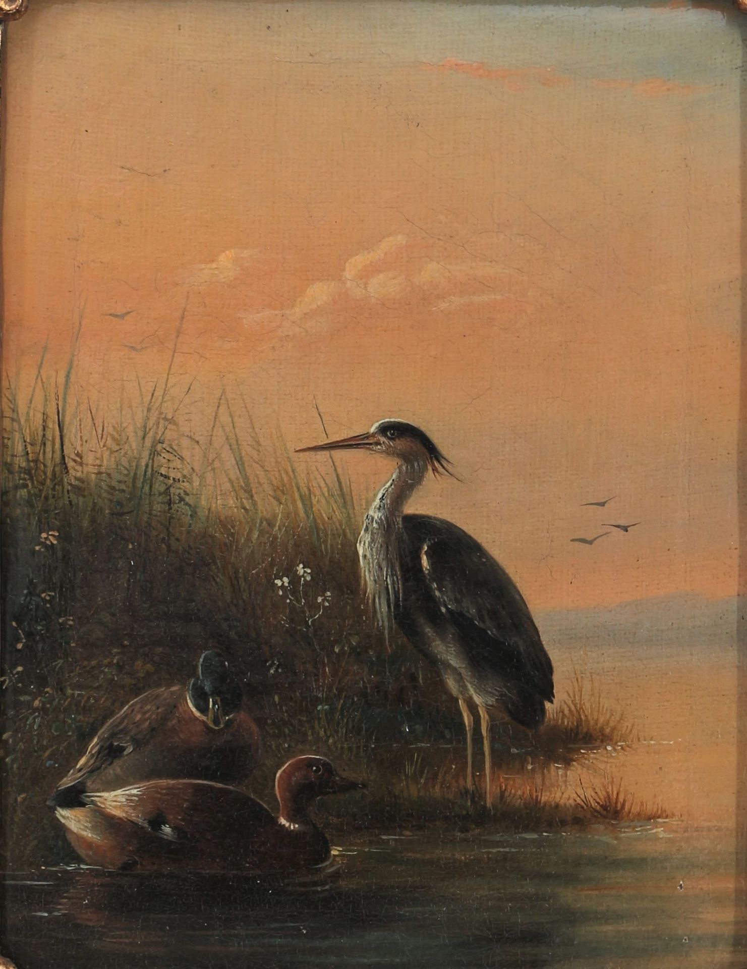 Unbekannter Maler Reiher und Enten, Mitte 19. Jahrhundert, heron and ducks, mid &hellip;