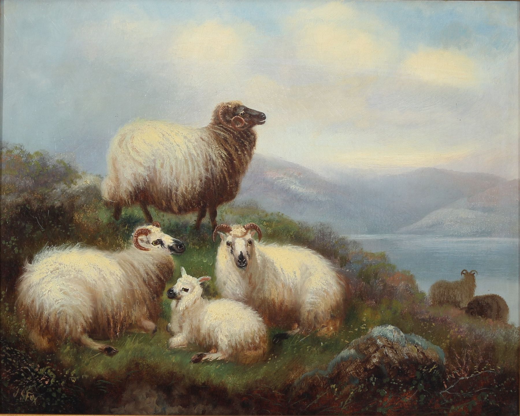 John Shirley Fox (c.1860-1939) Schafe in den Highlands, sheeps, Huile/toile, sig&hellip;