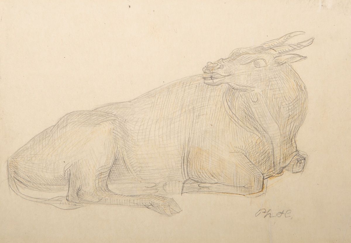 Null 无名艺术家（20世纪），描绘一头牛，铅笔画，右边可能有 "Phete "的签名，纸张约19.5 x 28厘米，已粘上。