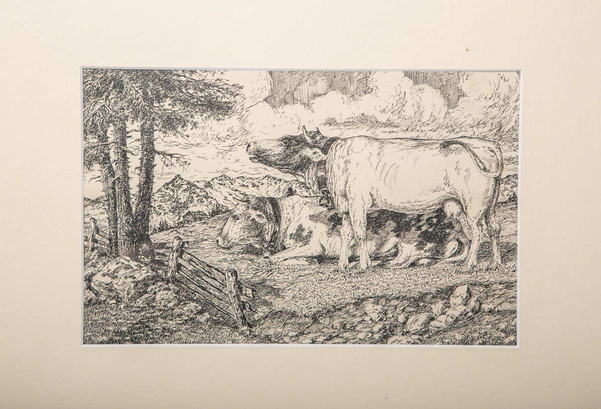 Null 无名艺术家（可能是20世纪），牧场上的奶牛，笔墨画，纸张约18.5 x 28.5厘米，PP，玻璃后面有框架。