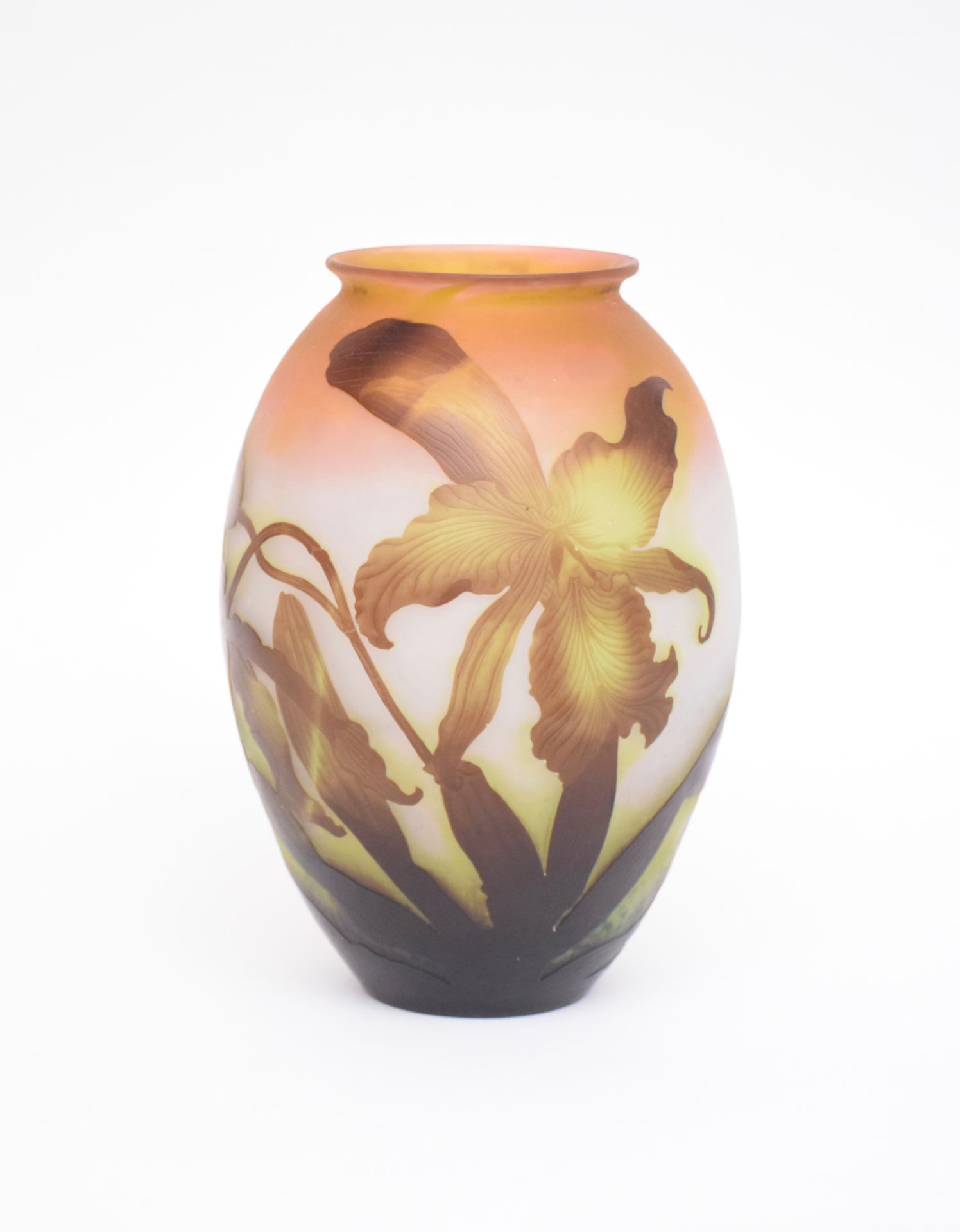 Null ETABLISSEMENTS GALLE (1904-1936)

Eiförmige, leicht geschulterte Vase mit k&hellip;