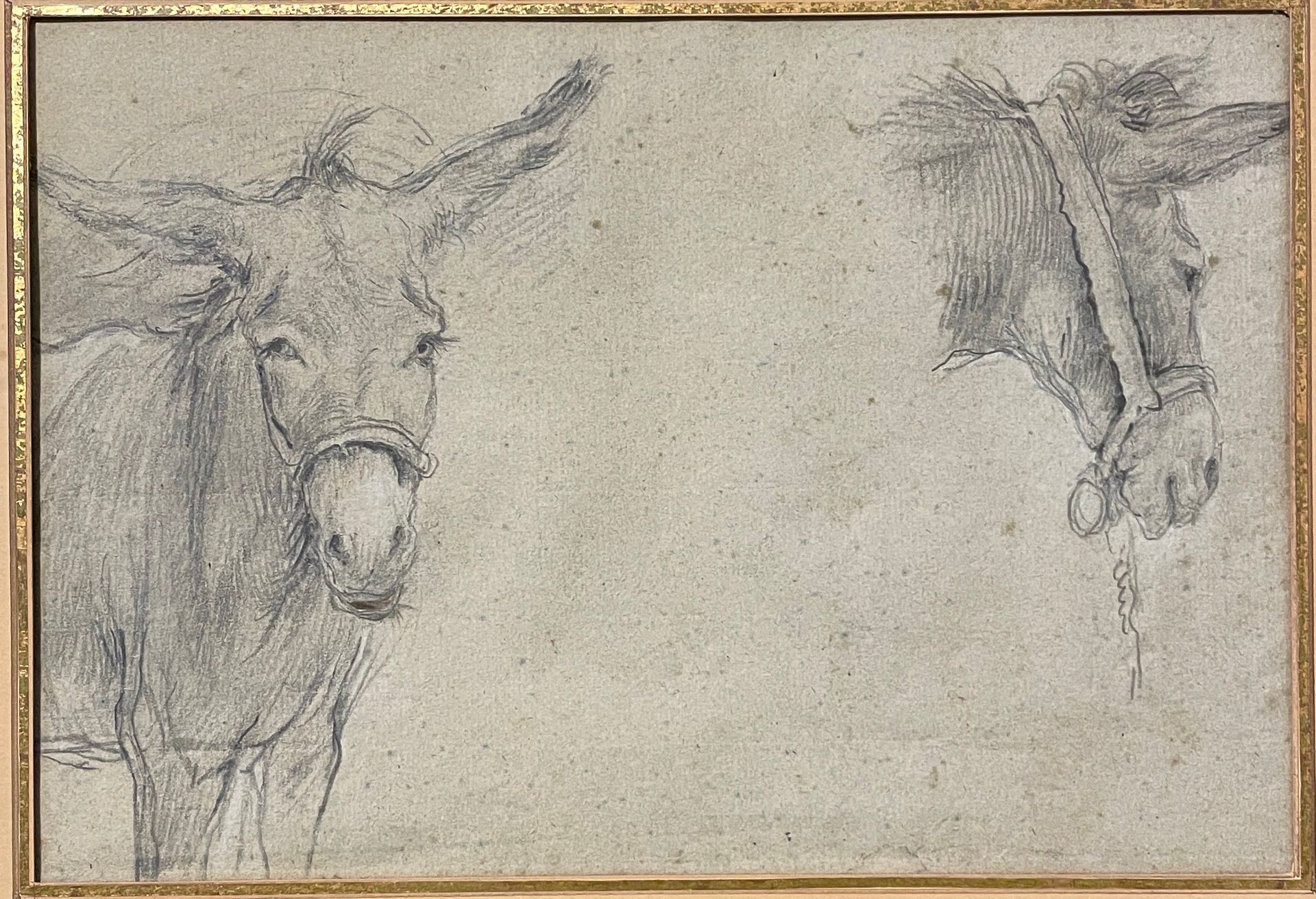 Null French school of the XVIIIth century

Study of a donkey 

Black pencil on b&hellip;