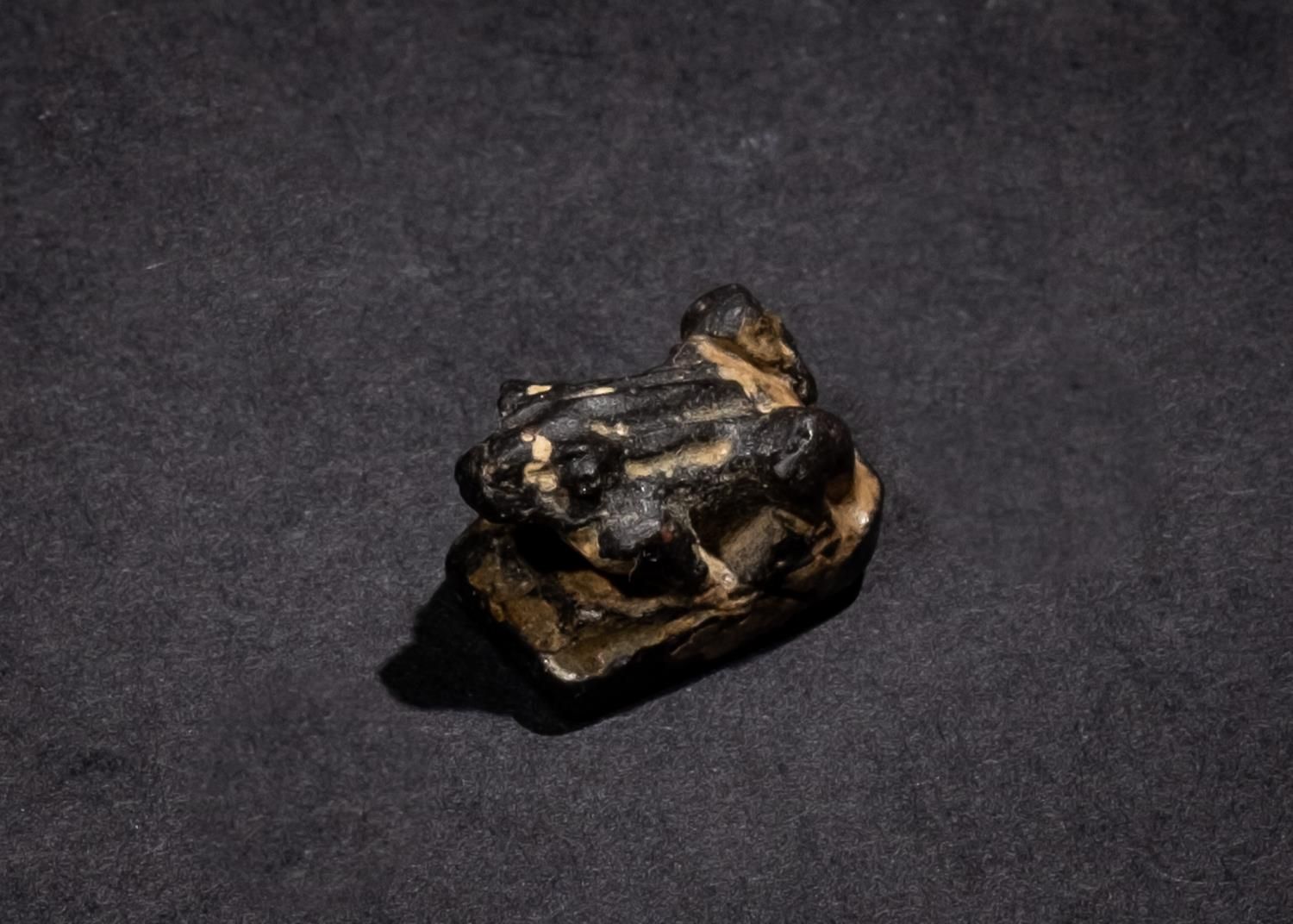 AN EGYPTIAN BLACK GRANITE AMULET OF A FROG, THIRD INTERMEDIATE PERIOD OR LATER 一&hellip;