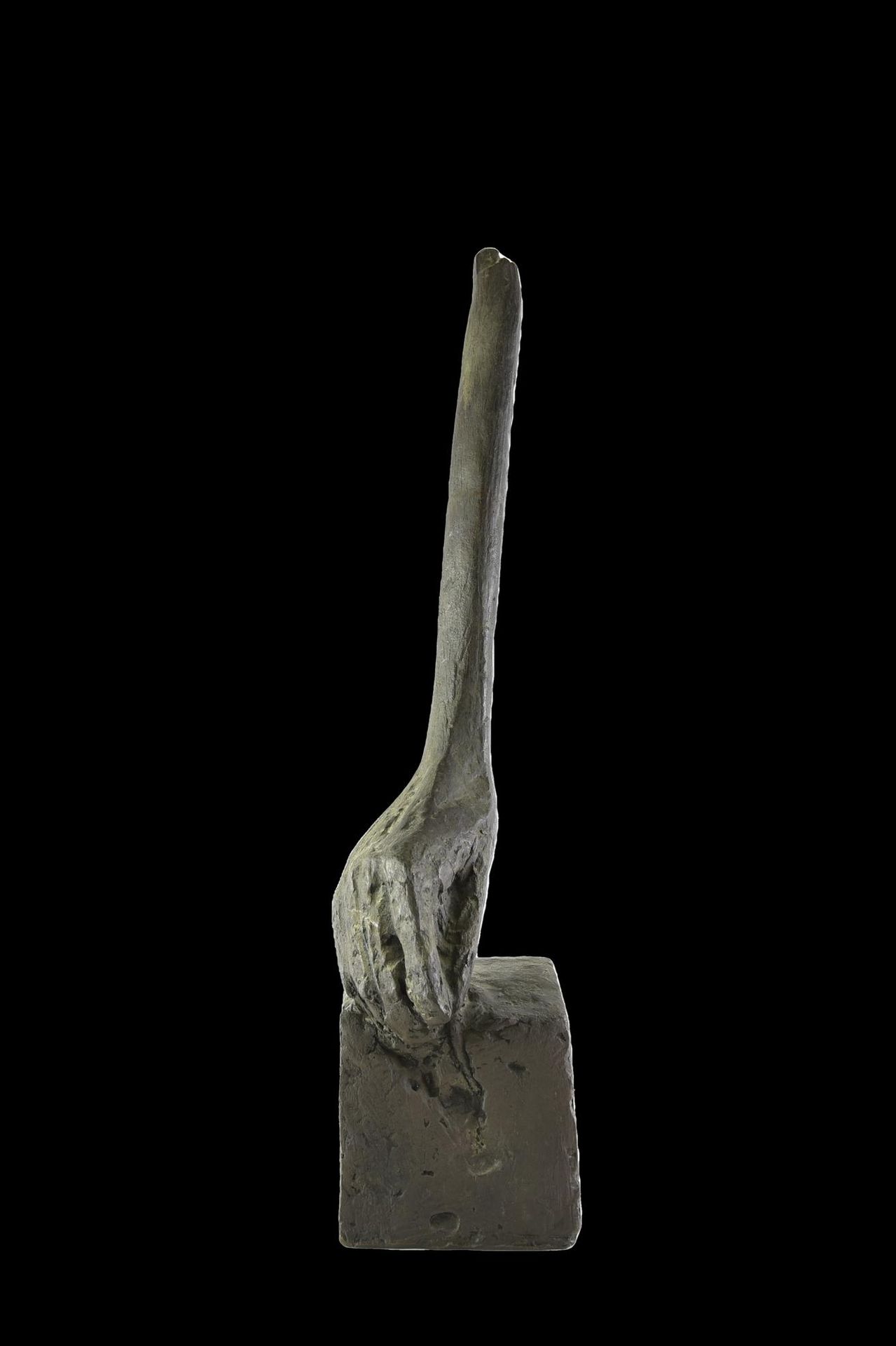 Alberto Ghinzani Alberto Ghinzani

DIE HAND

Bronze, cm 50x11x14; Ausst. 2/5

au&hellip;