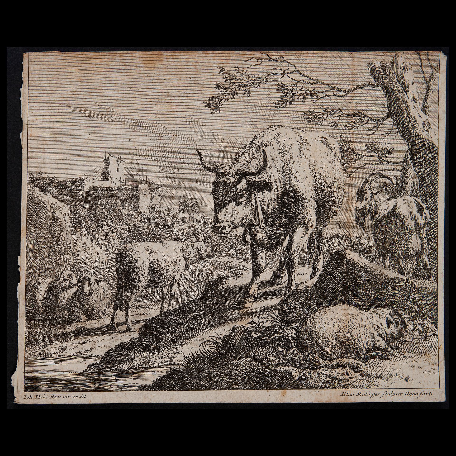 Johann Elias Ridinger (Ulm 1698 - Augsburg 1767), The Bull with the Bell, German&hellip;