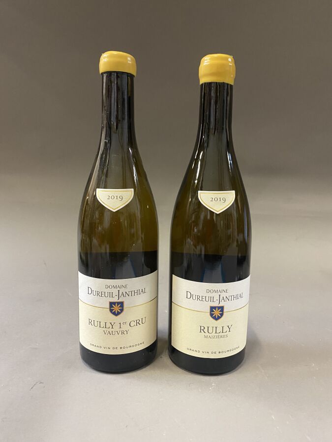 Null 8 bouteilles : 7 bts RULLY 2019 Domaine DUBREUIL-JANTHIAL
1 bt RULLY 1er Cr&hellip;