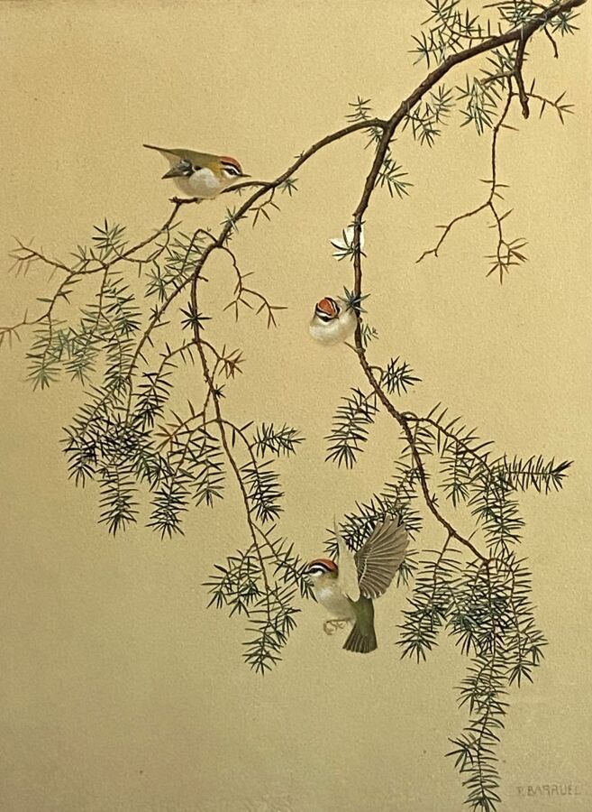 Null 保罗-巴鲁尔
三带鸟 "或 "Regulus ignicapilla"。
纸上水彩画
48 x 37 cm