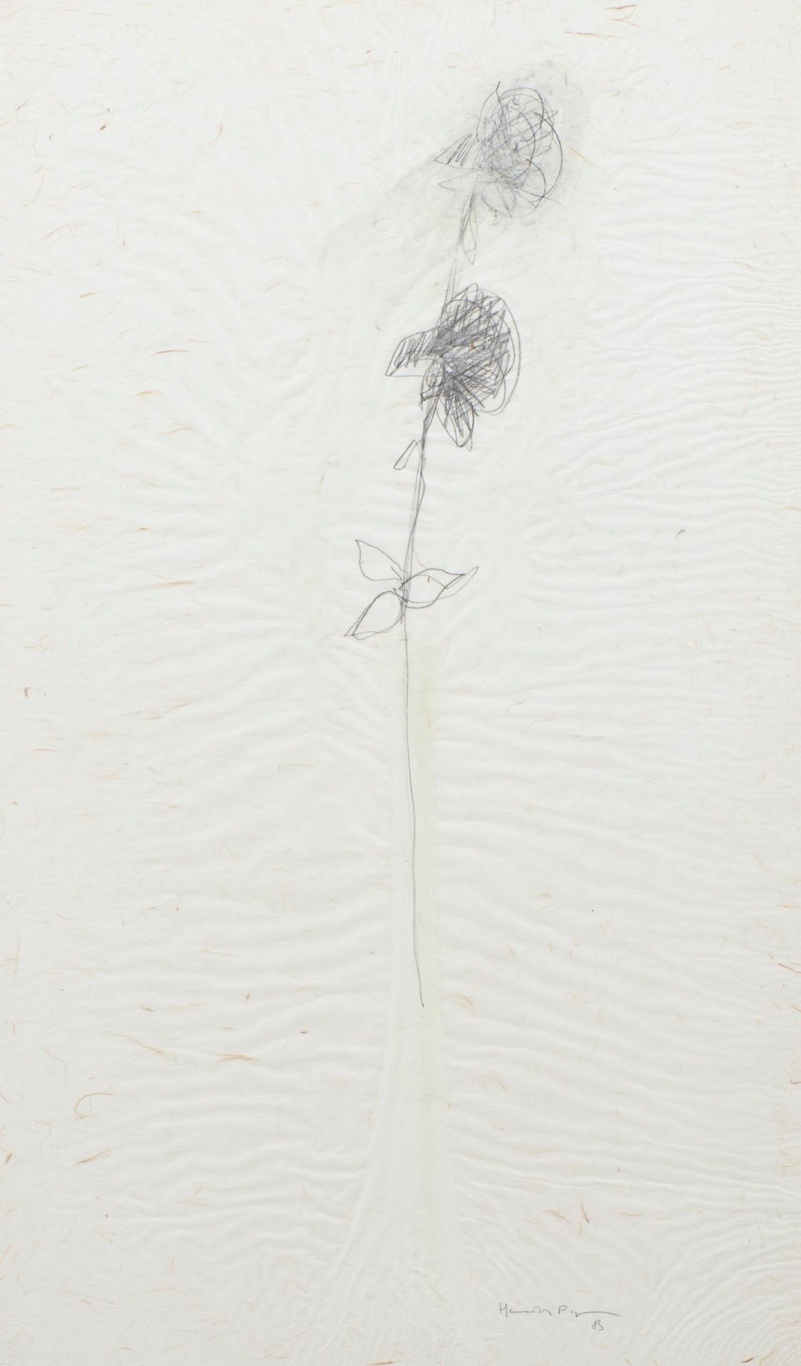 Null Joan HERNANDEZ PIJUAN (1931-2005) "Rose" Bleistift auf Papier unten rechts &hellip;