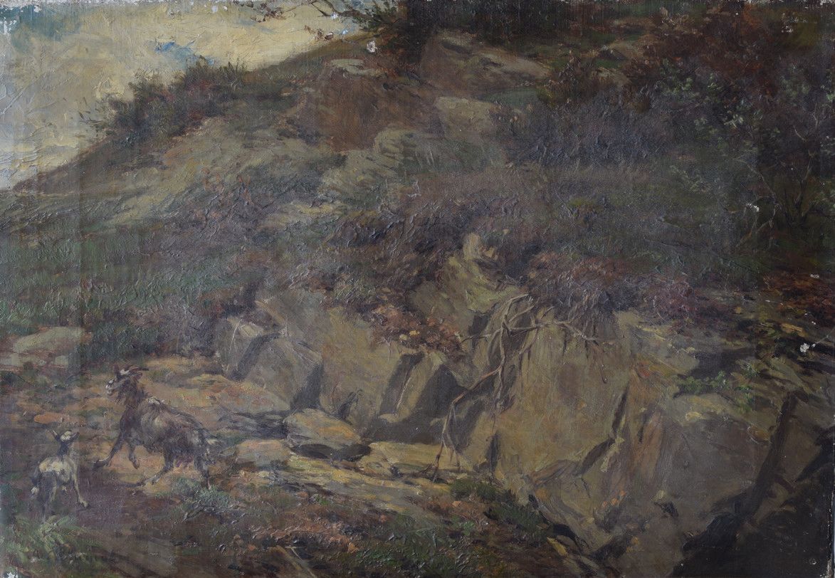 Null Chèvres dans paysage.Toile, 27 x 39.