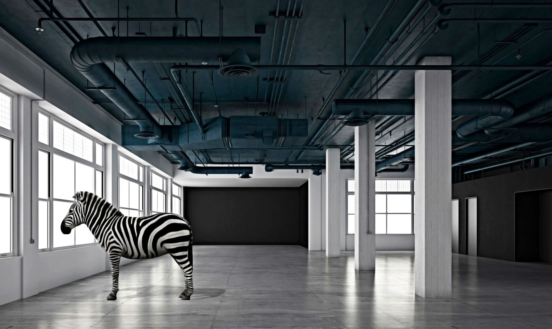 Mr Strange Mr Strange

Equus Zebra II, 2020

Impression sur toile

Signée et num&hellip;
