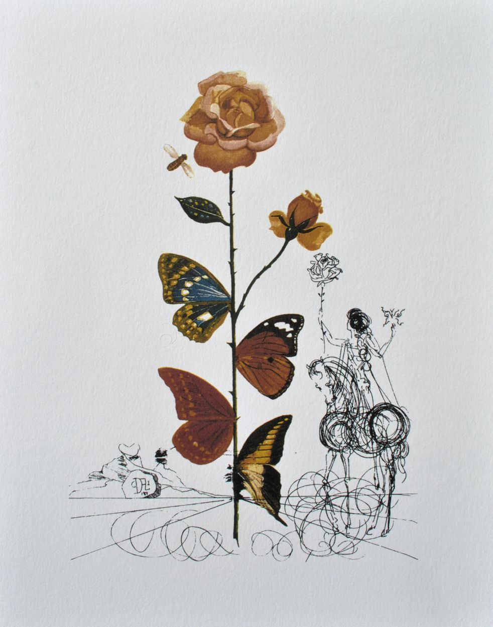 Salvador DALI Salvador Dali (d'après)

La Rose papillon

Lithographie d'après un&hellip;