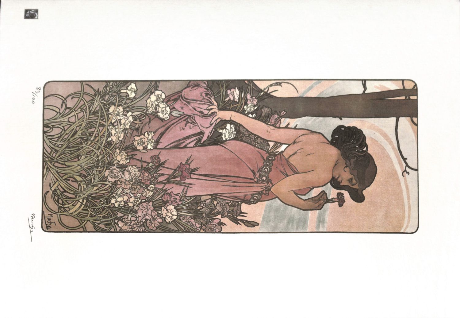 Alfons MUCHA 阿尔方斯-穆夏（后）

花：康乃馨

彩色光刻技术

板块中的签名

编号为/100

牛皮纸上 50 x 35 cm

由出版商的印&hellip;