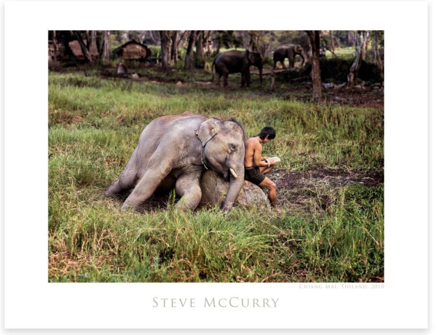 Steve McCurry Steve McCurry
Mahout Reads With His Elephant

Impression sur papie&hellip;