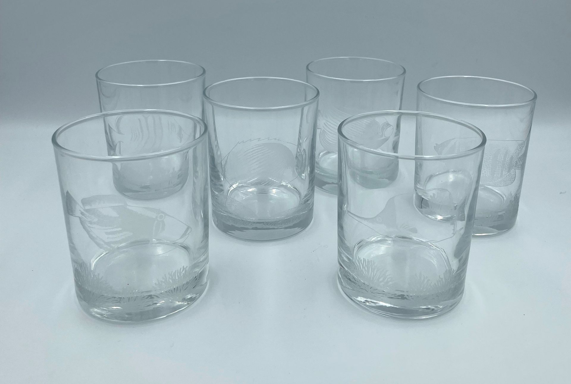 Null Set di sei bicchieri da acqua in vetro con pesci tropicali incisi.