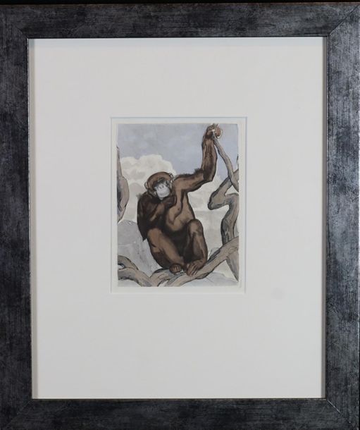 Paul JOUVE d’après. Antilope et singe deux gravures en couleurs. 15 x 11 cm