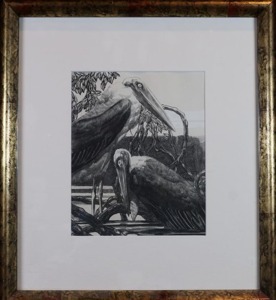 Paul JOUVE d’après. Pélican, gravure en couleurs. 29 x 22 cm