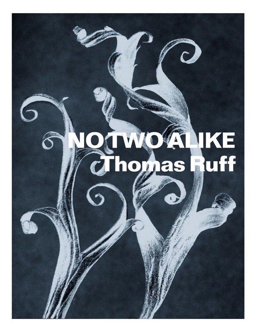 THOMAS RUFF 1958- THOMAS RUFF 1958-
"No Two Alike : Karl Blossfeldt, Francis Bru&hellip;