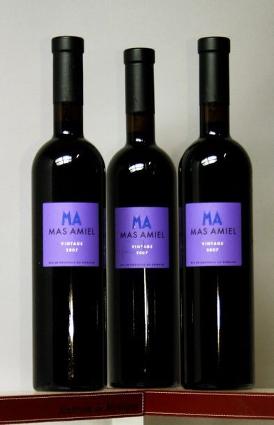 MAS AMIEL - Côtes du Roussillon 2007 3 bouteilles de MAURY et 9 bouteilles de MA&hellip;