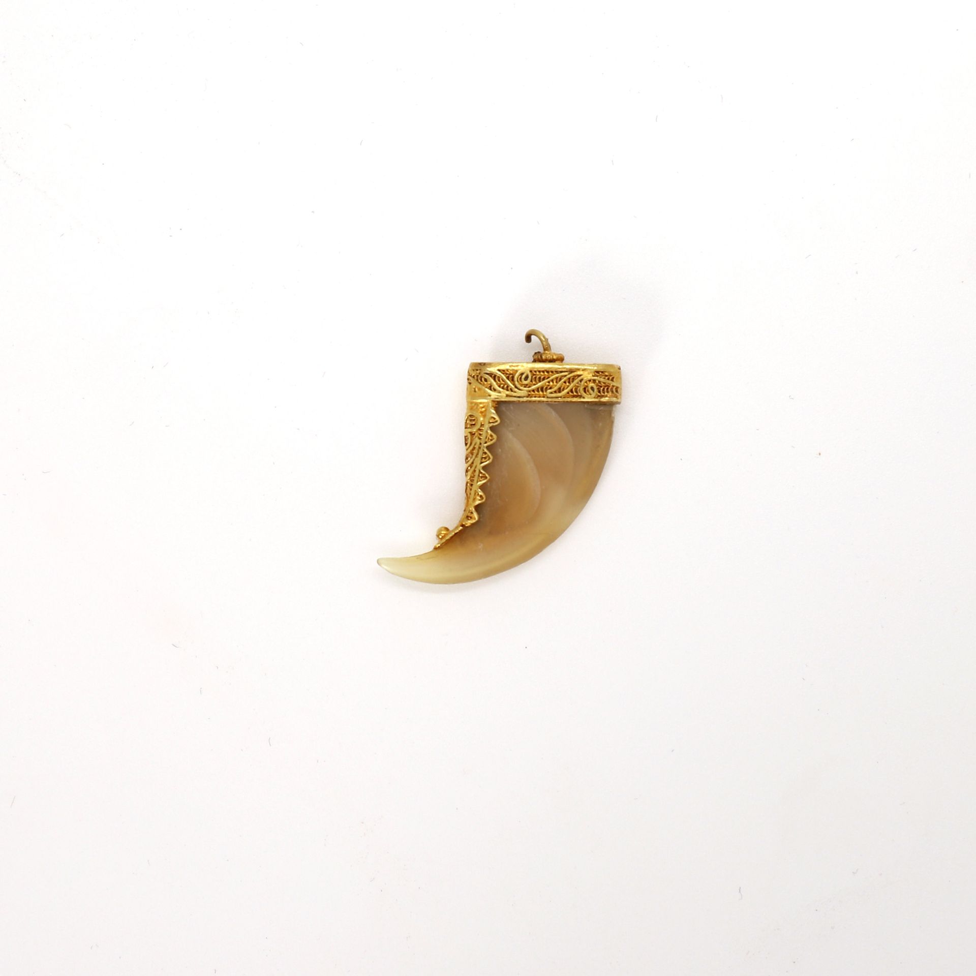Null GOLD AND MOTHER-OF-PEARL (?) HORN PENDANT

Pb : 1 g

Accident on the clasp
