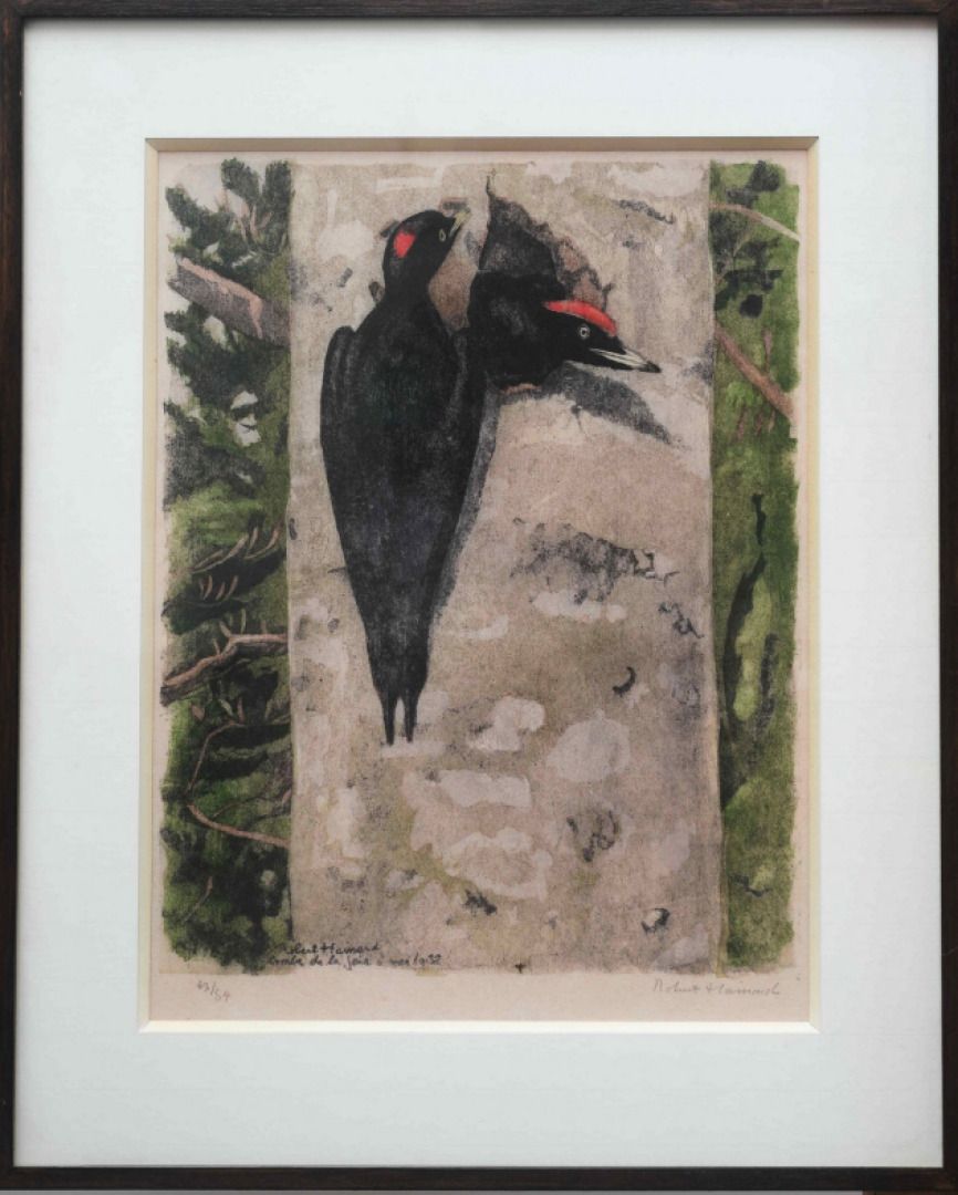 Null Robert HAINARD (1906-1999).
Pic épeiche nidifiant, lithographie marquée "Ro&hellip;