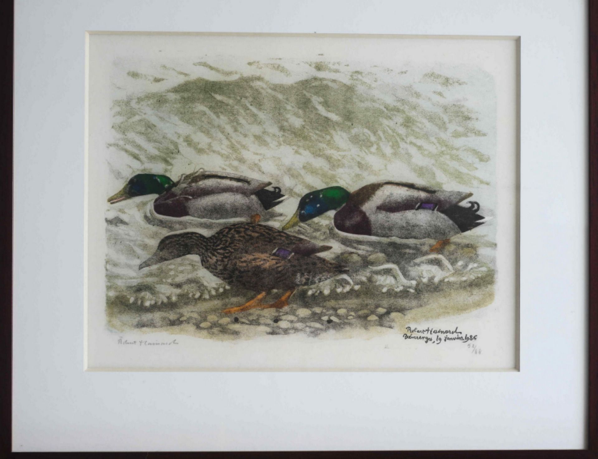 Null Robert HAINARD (1906-1999).
Groupe de canards, lithographie marquée "Robert&hellip;