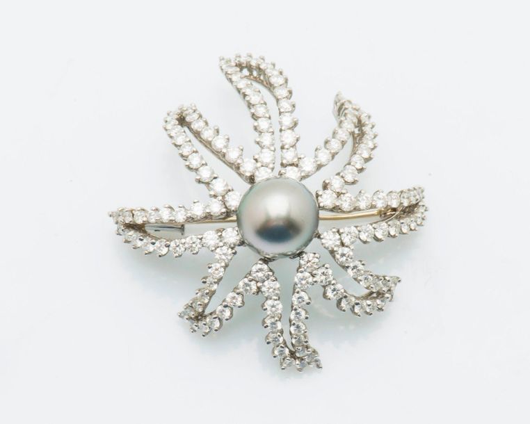 TIFFANY & CO Broche étoile de mer en platine (950 millièmes) sertie d’une perle &hellip;